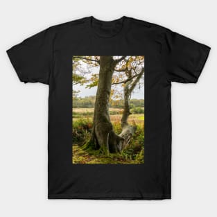 Autumn Tree Landscape Scene T-Shirt